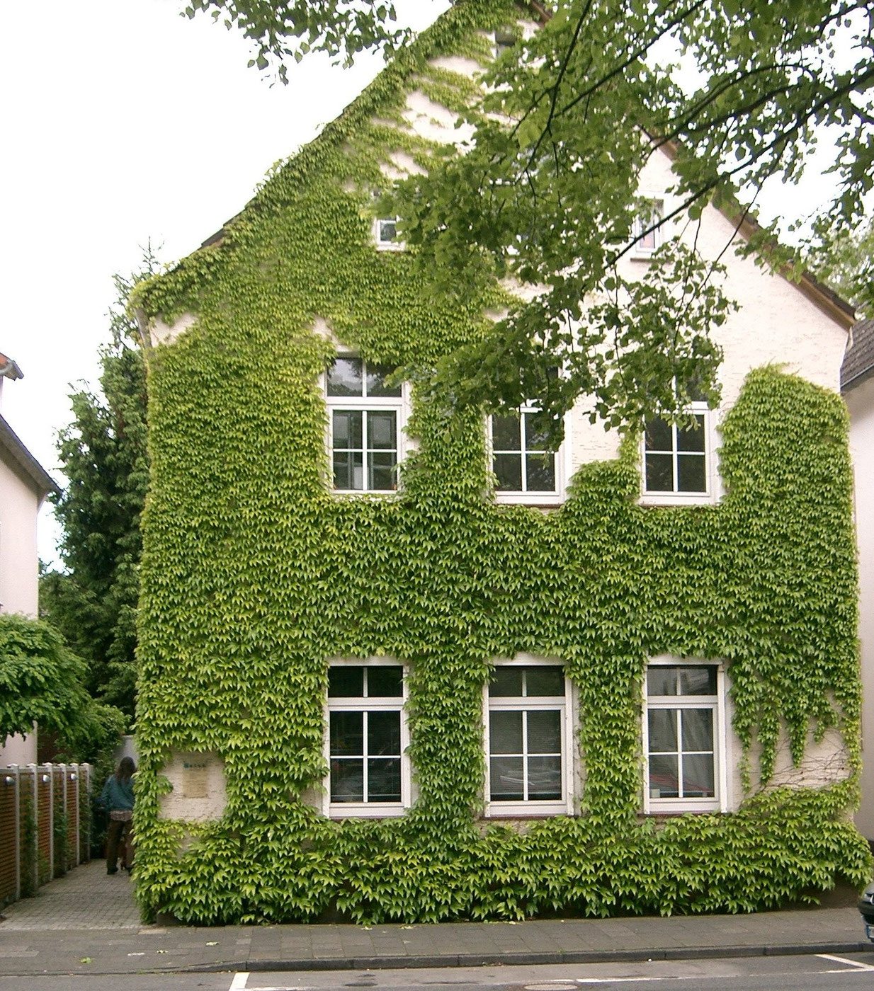 Das efeubewachsene Bürohaus in der Schillerstraße 80 in Münster